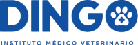 Logo-Dingo-azul